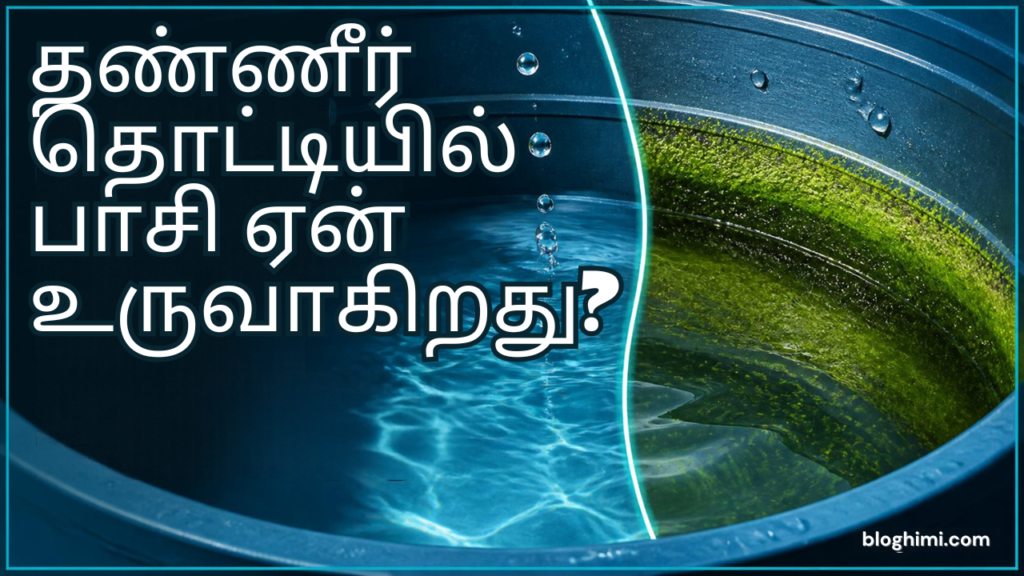 Why does algae grow in a water tank?